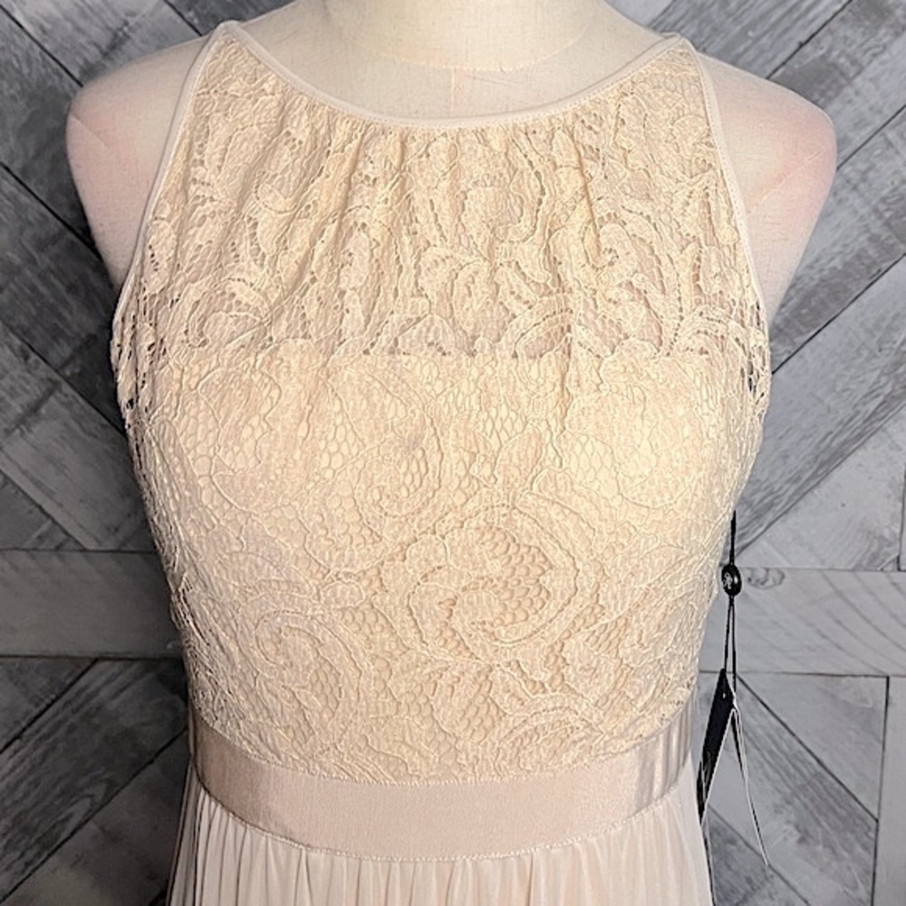 ADRIANNA PAPELL NWT LACE ILLUSION HALTER GOWN - Picture 6 of 11